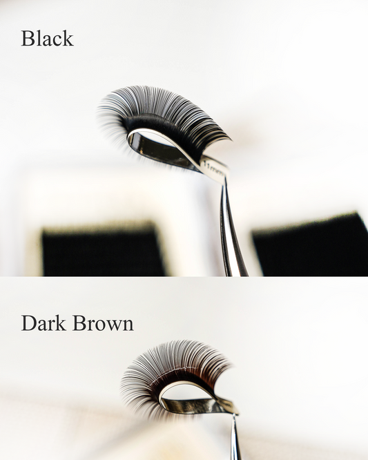 Single Length Dark Brown Lash Trays (16 lines)